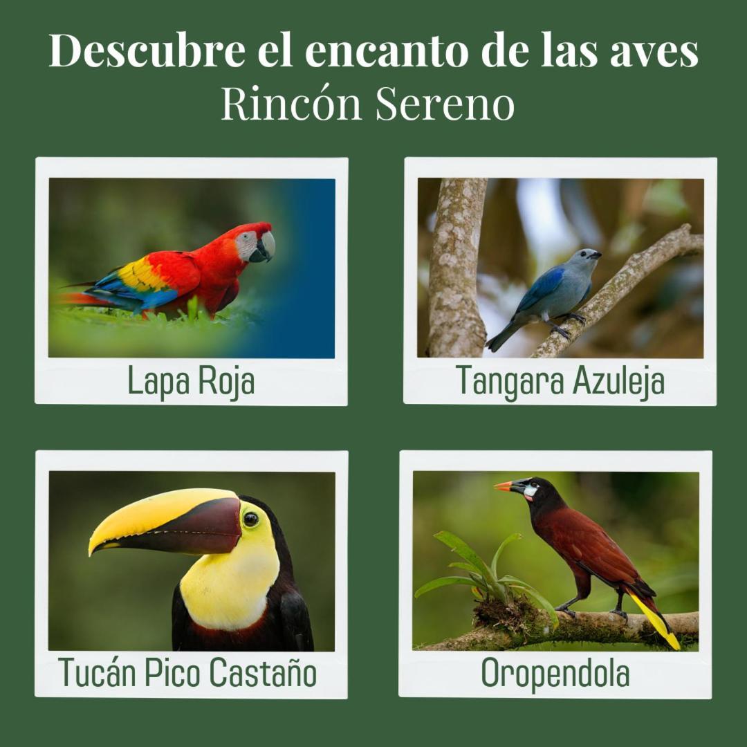 Rincon Sereno San Carlos Apartment La Marina