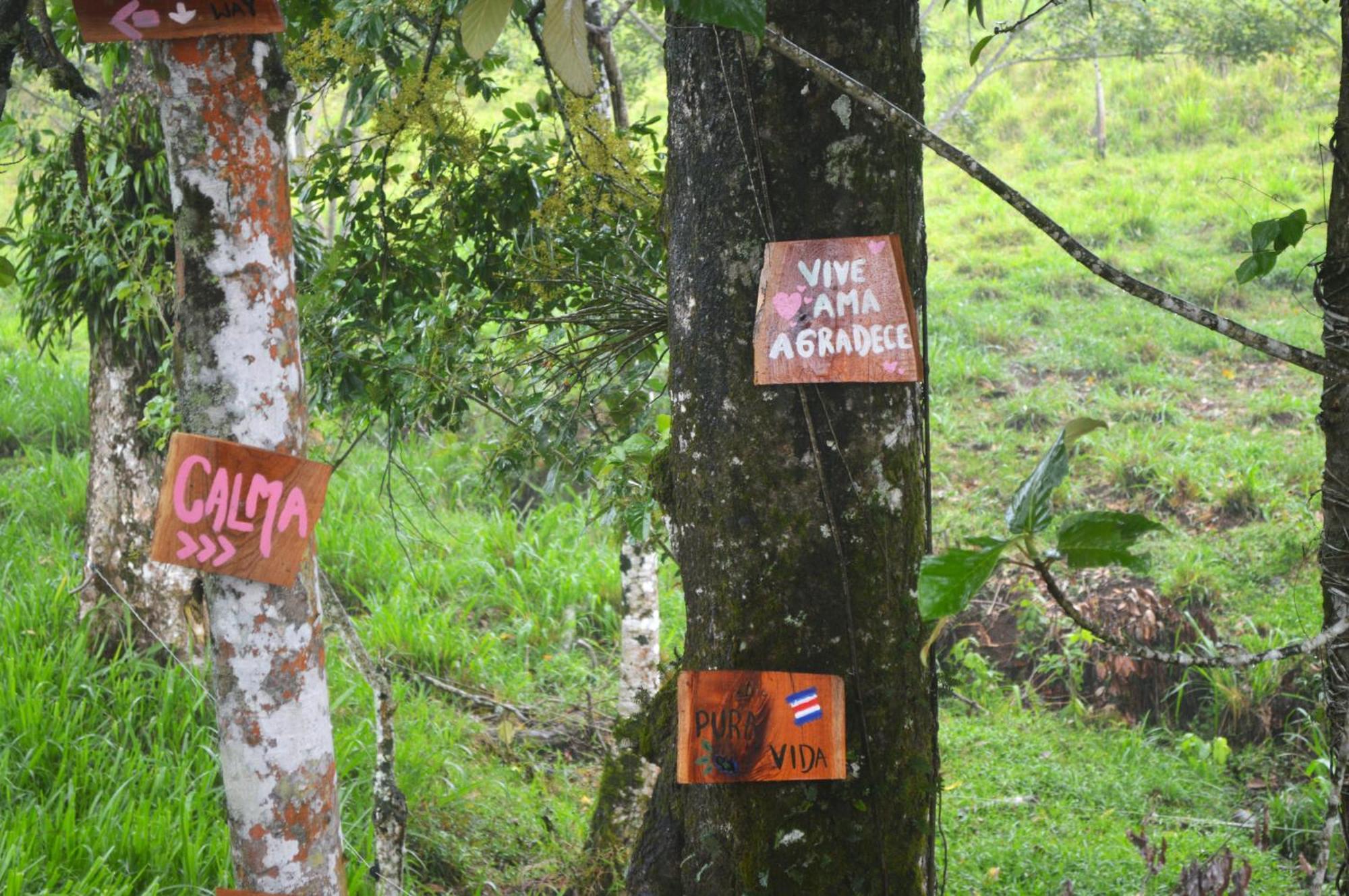 Rincon Sereno San Carlos *