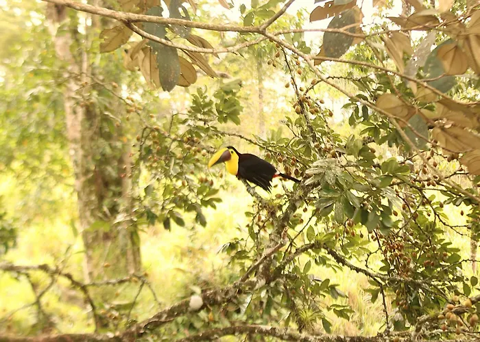Rincon Sereno San Carlos